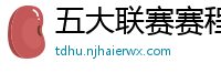 五大联赛赛程时间表2024年